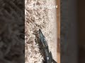 New SR-61 model