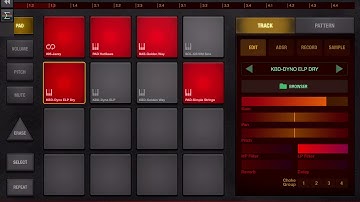 Demo 2 app BeatHawk HQ (iPad5 - Zé Osório)
