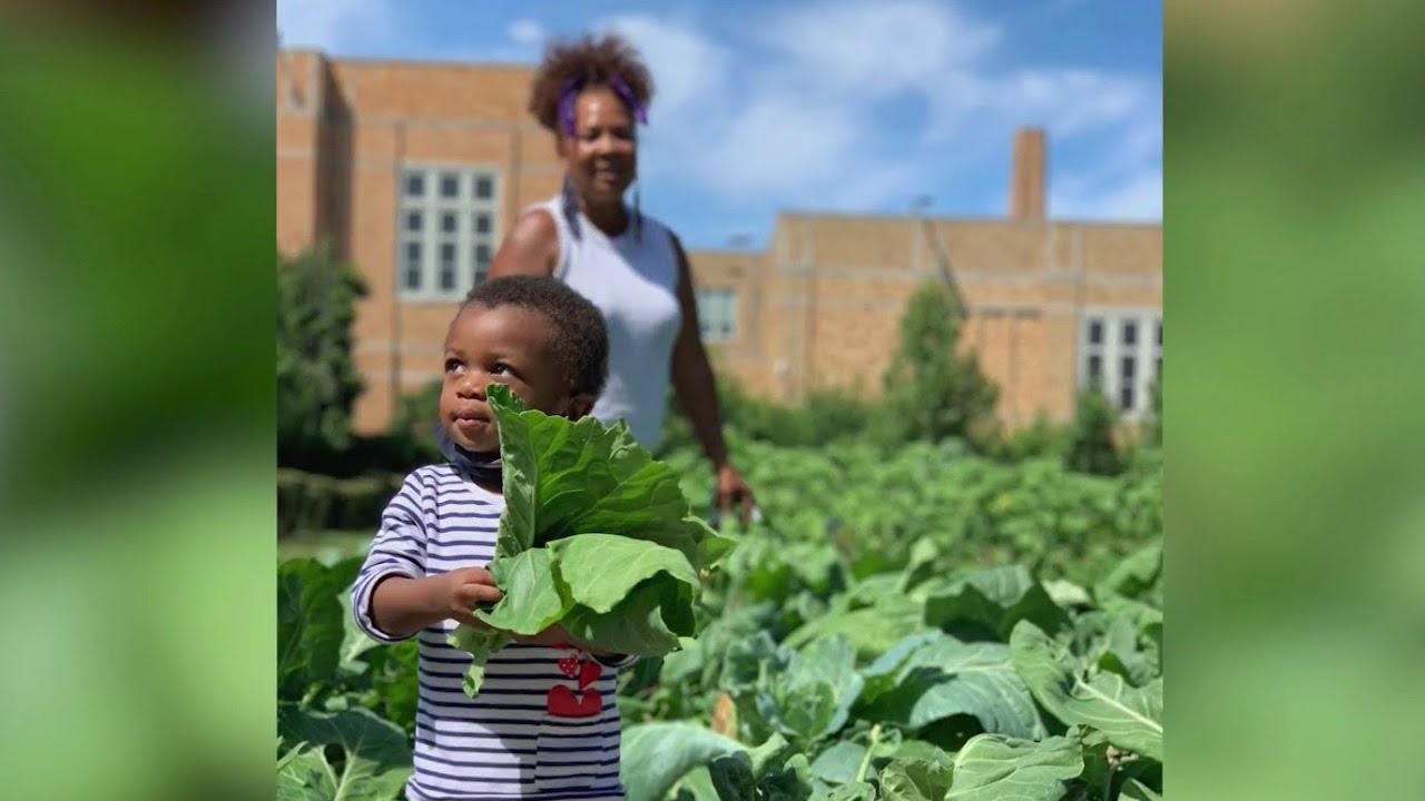 Urban Growers Collective: The Importance of Composting