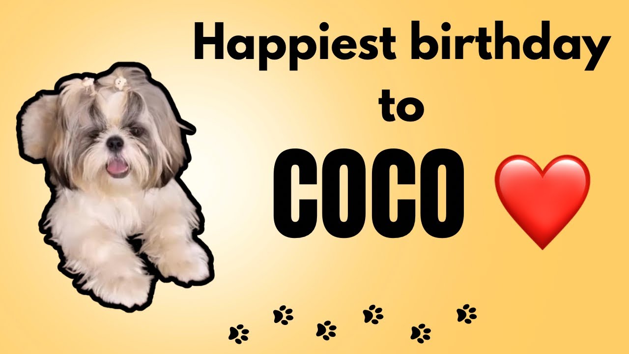 🐶 COCO TURNED A YEAR OLDER! | ADORABLE BIRTHDAY VLOG 🎂| FRIENDS AND FAMILY |