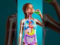Your Food’s Secret Journey Inside You