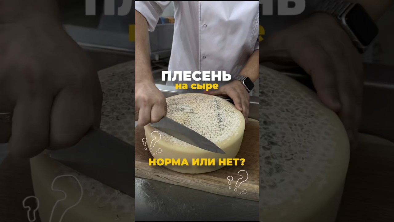 Плесень на сыре 🧀 Норма или нет? 