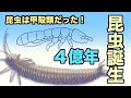 昆虫誕生 4億年 昆虫は甲殻類だった! 地球の歴史 その39 最初の昆虫化石から、昆虫・甲殻類起源説を語ります