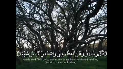 حالات واتس اب دينية // قران كريم بصوت وديع اليمني // تلاوات خاشعة // مقاطع دينية //