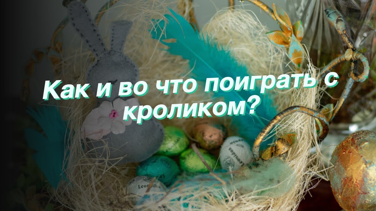 Как и во что поиграть с кроликом?