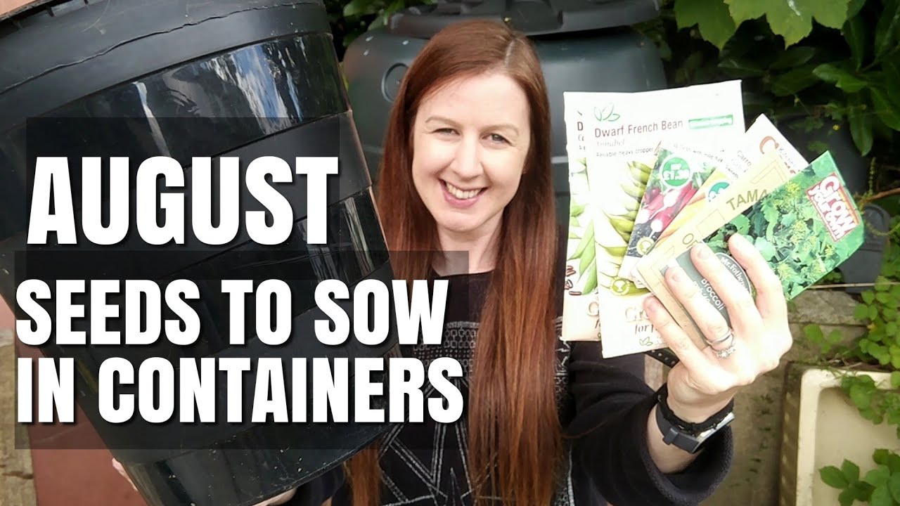 What To Sow In August In Containers & Buckets | Allotment Vegetable ...