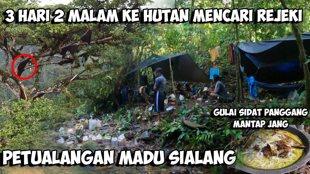 Camping Fishing Adventure Petualangan Hutan Belantara Sumatera Cari Madu Sialang Survival