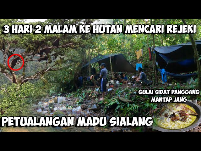 Camping Fishing Adventure Petualangan Hutan Belantara Sumatera Cari Madu Sialang Survival class=