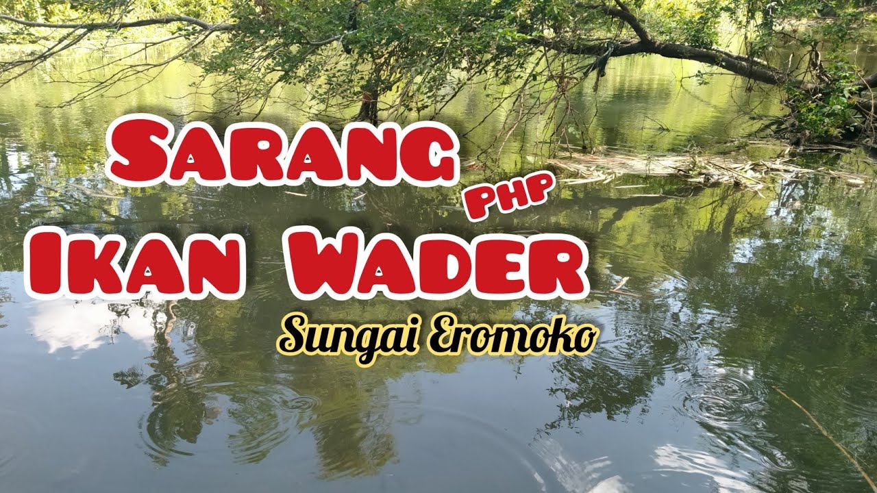 mancing wader || micro fishing 