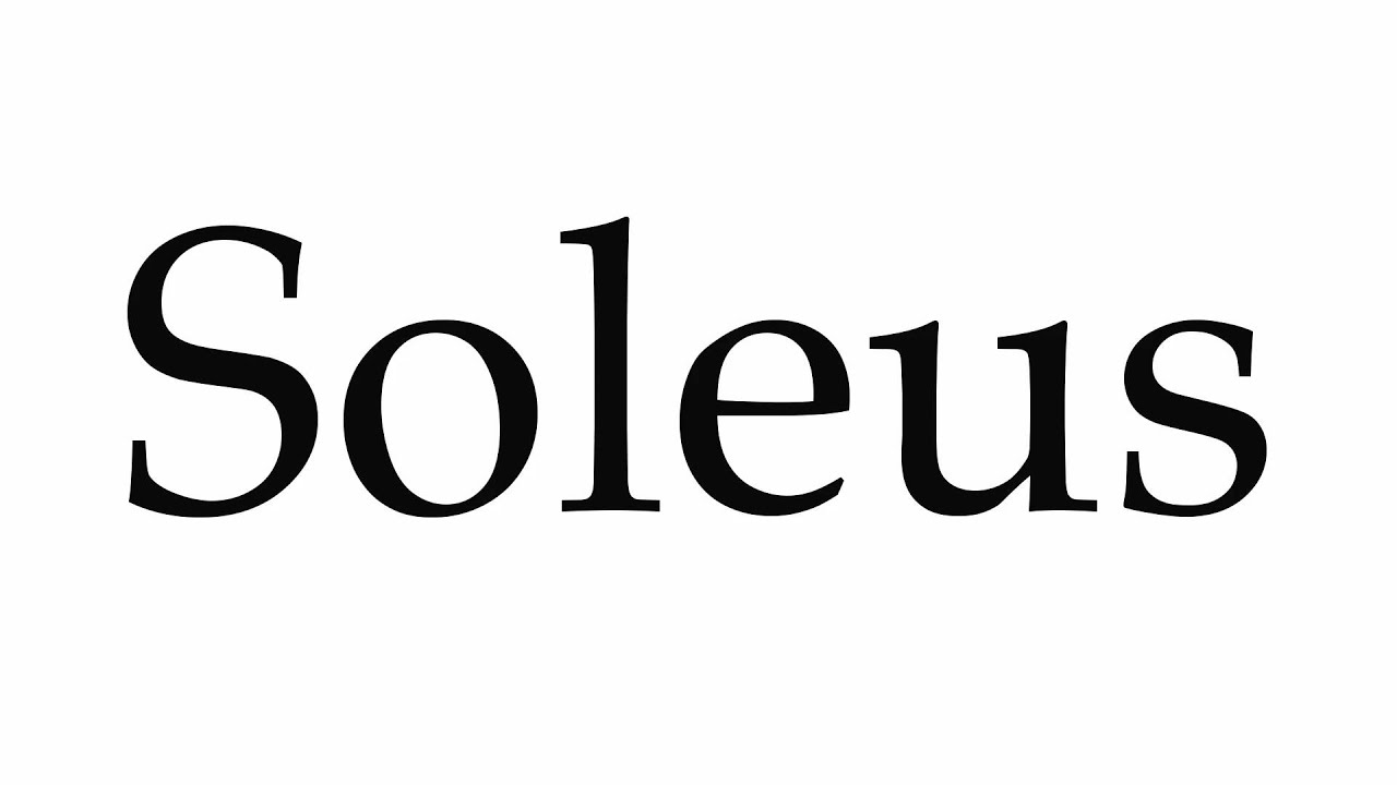 How to Pronounce Soleus YouTube