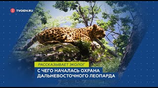 С чего началась охрана дальневосточного леопарда