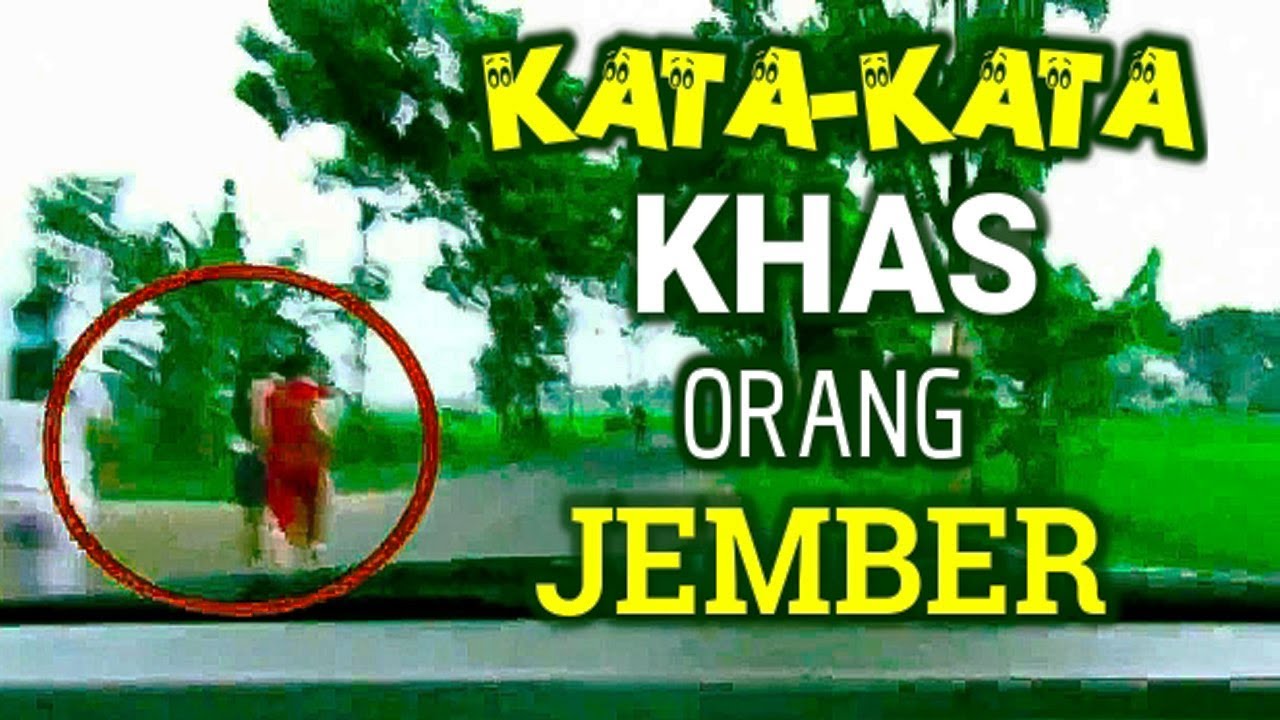 Kata Kata Aneh Ini Cuma Orang Jember Yang Tahu Artinya Youtube