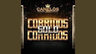 Video thumbnail of "Canelos Jrs. - El 15"