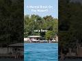 Feeling Overwhelmed? Take This Ferry Ride With Me #stressrelief