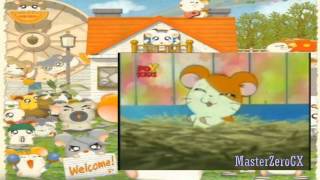 Hamtaro Opening 2 En Español Latino Hd