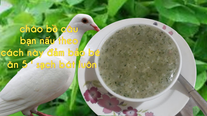 Cách nấu cháo bồ câu cho Be 10 tháng