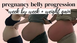 Pregnancy Belly Progression Week by Week Transformation & Weight Gain