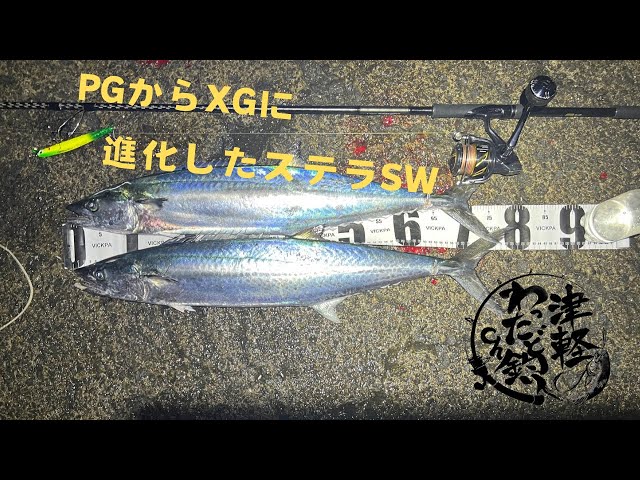 ステラSW6000PGから6000XGにチェンジングして実釣でサワラ🎣 - YouTube