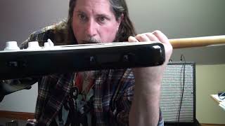 Famous Freeway Strat Switch Review (Take 2) Profile