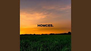 Again slowed - HOMCES