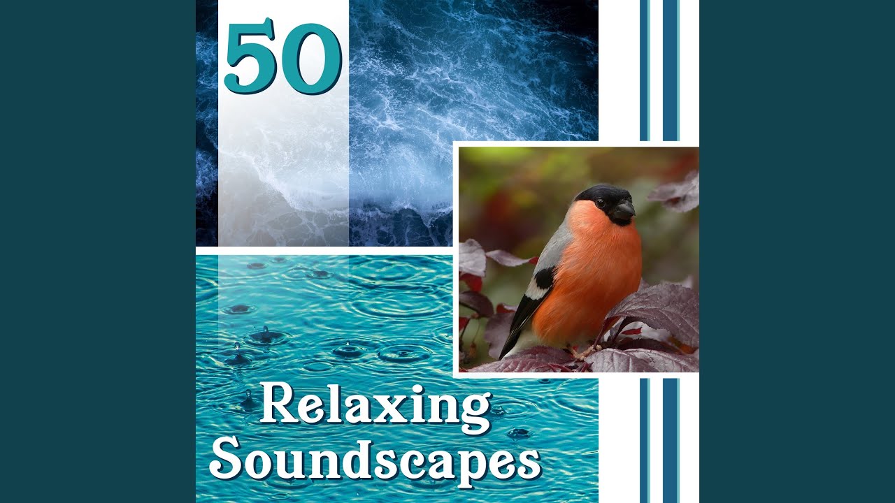 Body & Mind Zone YouTube