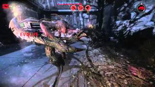 Evolve: Silly Wraith