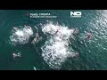 Cold-water swimming in Croatia’s Opatija grows as a winter wellness tradition