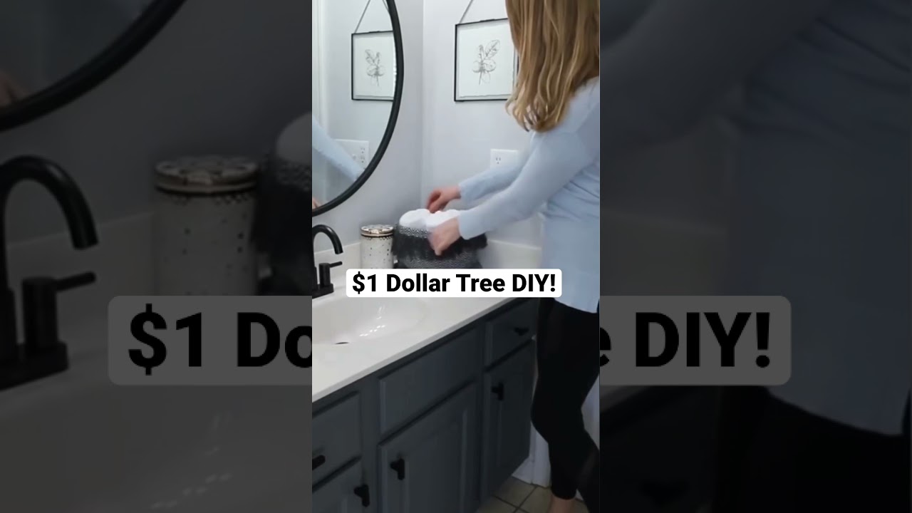 WOW $1 Dollar Tree DIY (one minute organization!) 