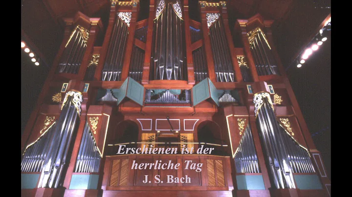 Five Chorale Preludes by Bach, performed by Sandra...