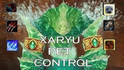 Xaryu | Mage pet control