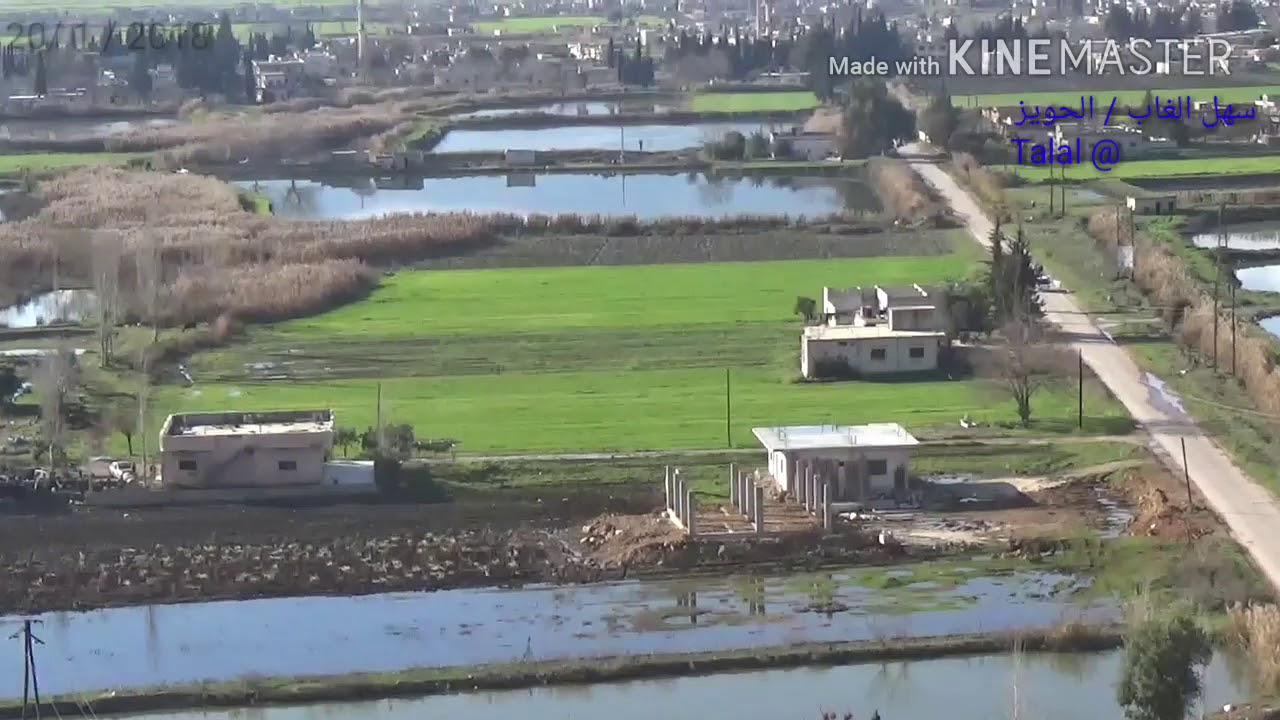 الحويز سهل الغاب