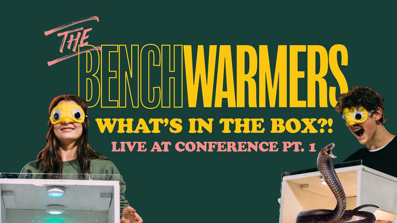 The Benchwarmers What's In the Box?! LIVE at Conference 2019