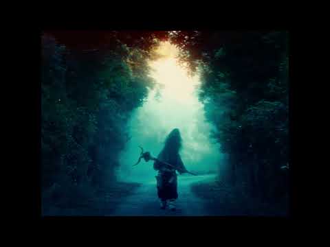 DISFF49 OFFICIAL SPOT | WELCOME HOME!