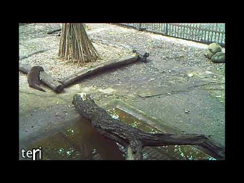 conservation of energy formula Vidra lennon