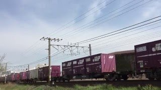 【大迫力！】JR貨物 EF66-115+ムドEF210-9 (5085レ) 熱田〜笠寺にて
