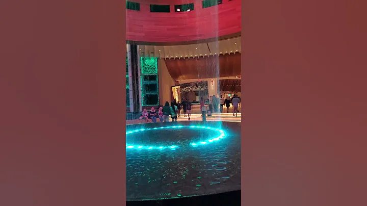 Hard Rock Hotel - Lobby Fountain