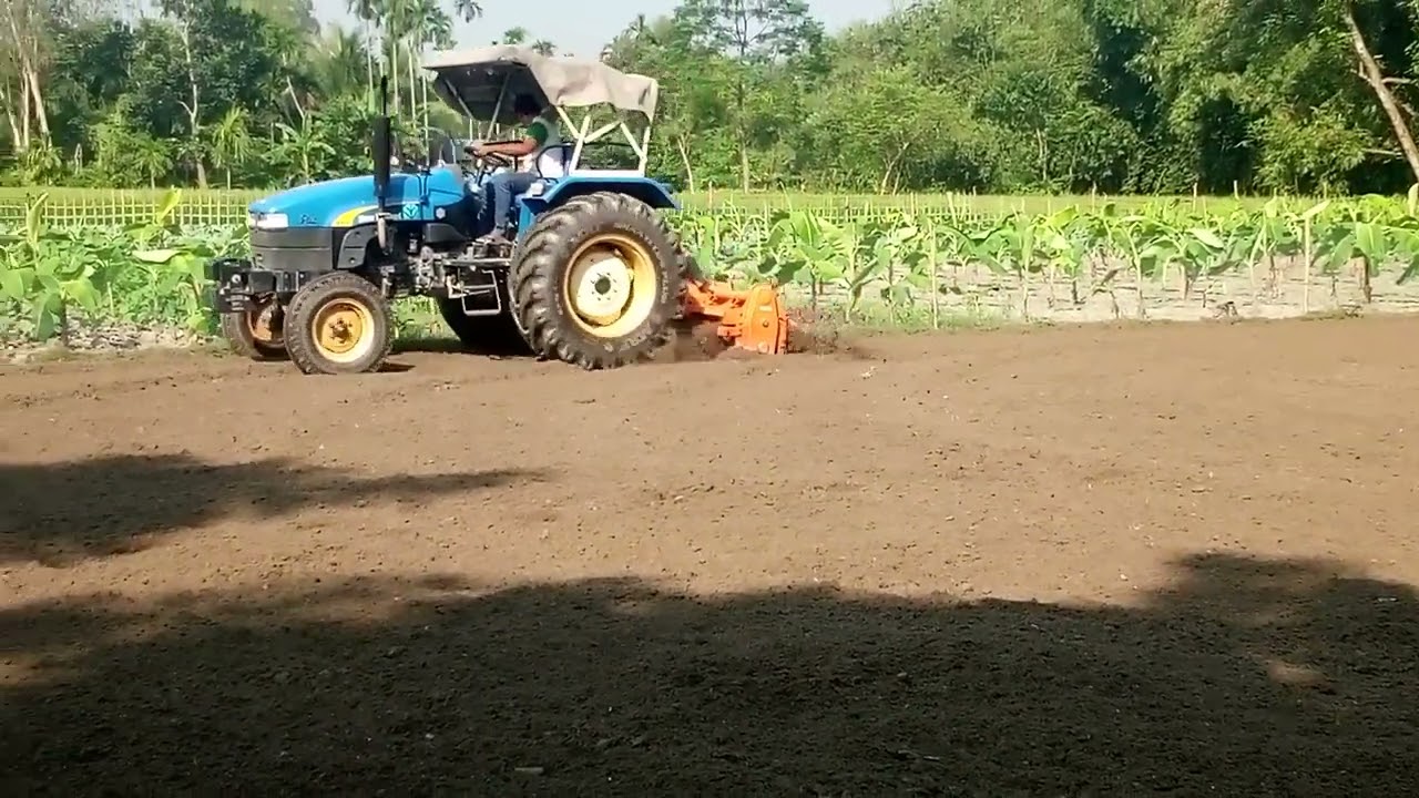 আলুর চাষের রাজা New HollandTT55. 