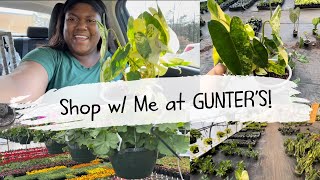 Come Shopping w/ Me to Gunters Greenhouse!!
