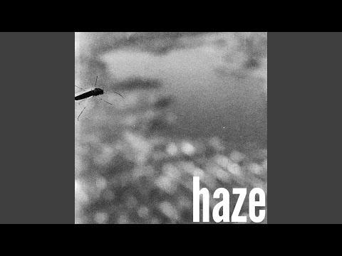 Video: David Doak Berbicara Tentang Haze • Halaman 2