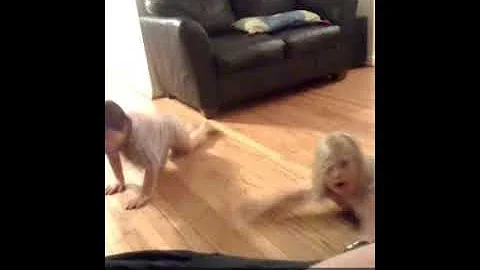 danceparty.mov