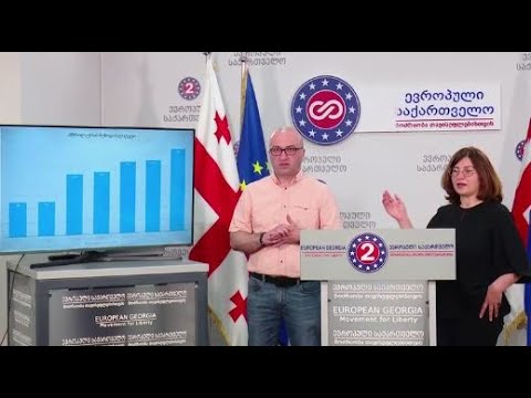 „ხელისუფლება  საჯარო მოხელეების რიცხვს საკუთარი აქტივისტებისა და ოჯახის წევრების ხარჯზე ზრდის“