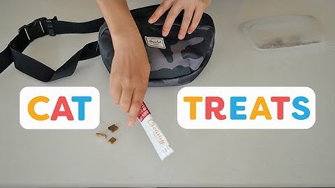 The Best Treats For Training Cats