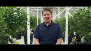 Switching from HID to LED at Valley Pure | Fohse F1V LEDs