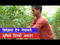         vegetable farming in nepal 