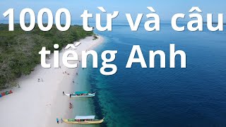 1000 từ và câu tiếng Anh thông dụng nhất - Bài 1 screenshot 5