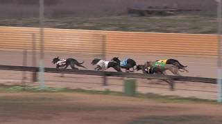BATHURST-05062017-RACE-5