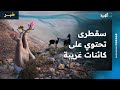 صحيفة هندية جزيرة سقطرى تحتوي على كائنات غريبة كما لو أنها قطعة من خارج الأرض