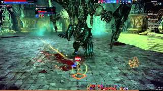 Tera online - Necromancer Tomb boss solo - Warrior (Mutated Kaidum)