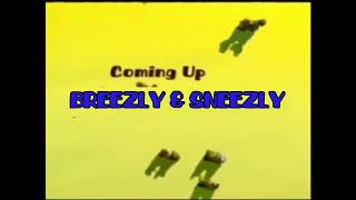 Boomerang From Cn Next Bumper Breezly And Sneezly 20002015 fanmade