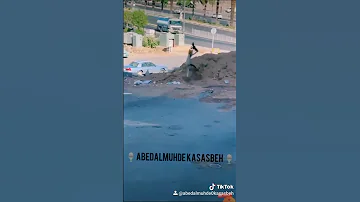 ناشيونال جيوغرافيك بالاردني القط والحمامه بالاردني 